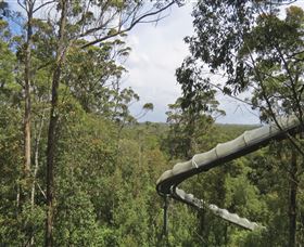 Tarkine Forest Adventures - Dismal Swamp - New Castle Holiday 1