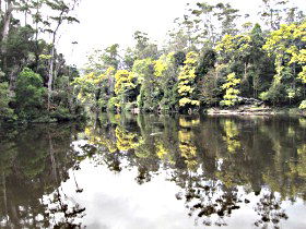 Arthur River TAS New Castle Holiday