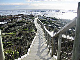 Arthur River - New Castle Holiday 1