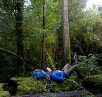 The Tarkine Drive - New Castle Holiday
