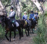 Mirravale Horse Riding School - New Castle Holiday
