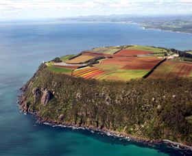 Table Cape - New Castle Holiday 0
