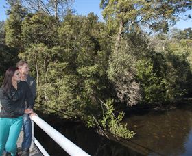 Hellyer Gorge - New Castle Holiday 0