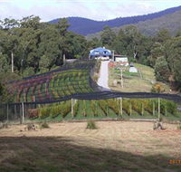 Motton Terraces - New Castle Holiday