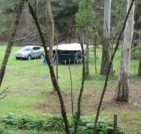 Goomburra Forest Retreat - New Castle Holiday