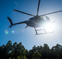 Tall Timbers Adventure Tours - New Castle Holiday