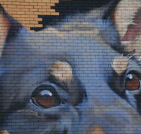 Visit Benalla Tours - New Castle Holiday