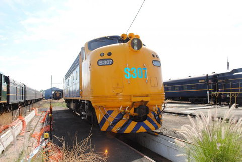 Dreamscape Tours - New Castle Holiday 6