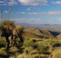 4WD Aussie Outback Adventures - New Castle Holiday