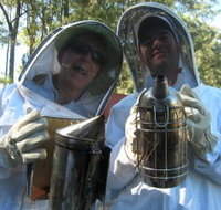 Honeycomb Valley - New Castle Holiday