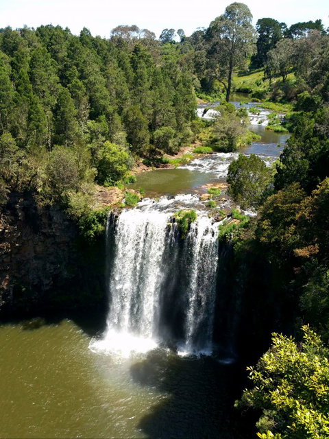 A1 Coffs Coast Tours - New Castle Holiday 4