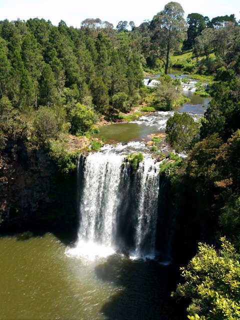 A1 Coffs Coast Tours - New Castle Holiday 6