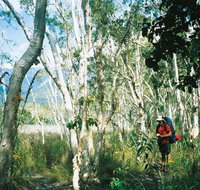 Thorsborne Trail Hinchinbrook Island National Park - New Castle Holiday