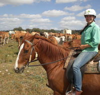 Myella Farm Stay Tours - New Castle Holiday