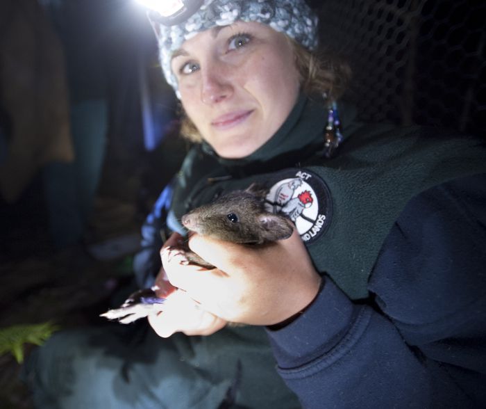 Tidbinbilla ACT New Castle Holiday