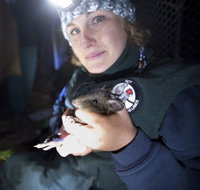 Naturewise at Tidbinbilla - New Castle Holiday