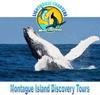 Lighthouse Charters Narooma - New Castle Holiday