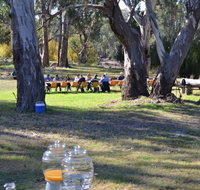Glendale Citrus  Hazelnut Orchard - New Castle Holiday