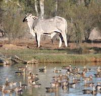 Natural Encounters Trail - New Castle Holiday