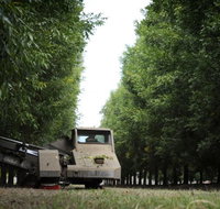 ODempseys Charters and Tours - New Castle Holiday