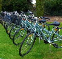 Barossa Bike  - New Castle Holiday