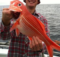 Goin' Off Safaris - New Castle Holiday