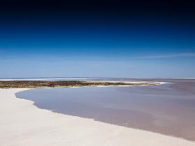 Goin' Off Safaris - New Castle Holiday 7