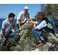 Sapphire Coast Ecotours - New Castle Holiday