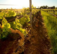 Kaesler Old Vine Vineyard Tour - New Castle Holiday