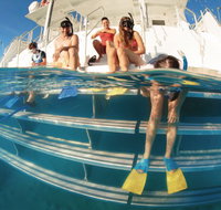 Australian Sunset Safaris - New Castle Holiday
