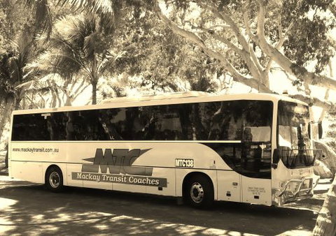 Mackay Transit Coaches - New Castle Holiday 0