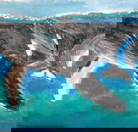 Kaz Art-Whitewash Gallery - New Castle Holiday