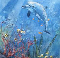 Nadas Fine Art Gallery - New Castle Holiday