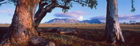 Nissarana Galleries Noosa - New Castle Holiday 1