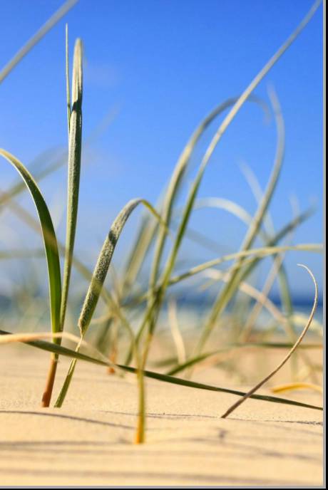 Coastal Visions Photography - New Castle Holiday 1