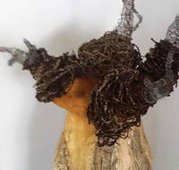 Caldera Wildscapes Gallery - New Castle Holiday