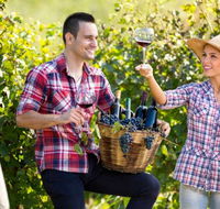 Two Tails Wines - New Castle Holiday