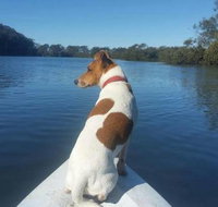 Australis Canoes  Kayaks - New Castle Holiday