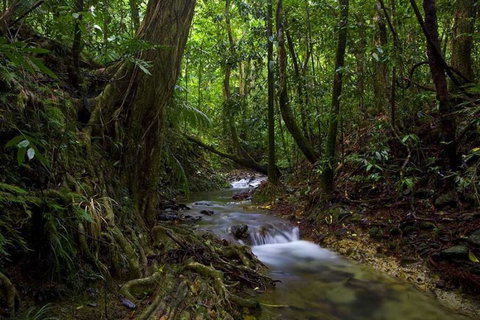 Trek North - New Castle Holiday 0