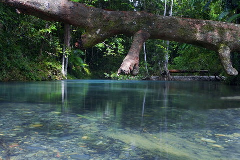 Trek North - New Castle Holiday 1