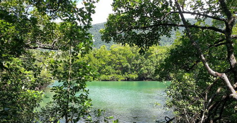 Trek North - New Castle Holiday 2