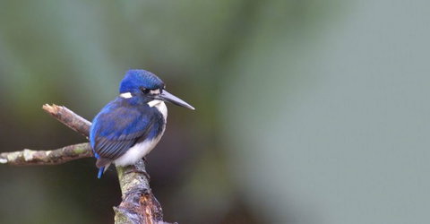 Trek North - New Castle Holiday 3