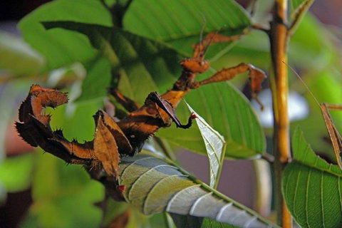 Trek North - New Castle Holiday 6