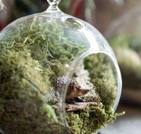 Moxom and Whitney - New Castle Holiday