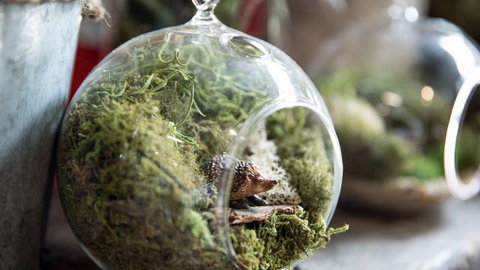 Moxom And Whitney - New Castle Holiday 0