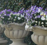 Gardenalia Open Garden and Rare Plant Nursery - New Castle Holiday