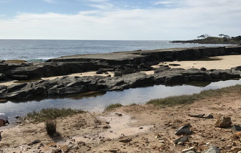 Yamba Tours And Charters - New Castle Holiday 0