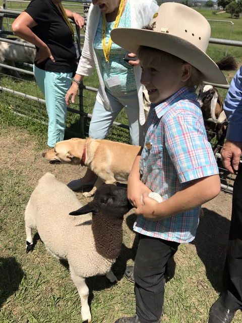 Yamba Tours And Charters - New Castle Holiday 2