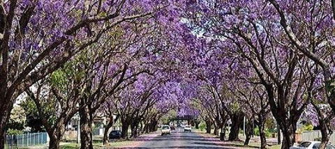 Yamba Tours And Charters - New Castle Holiday 6