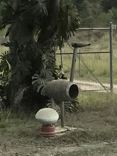 Yamba Tours And Charters - New Castle Holiday 7